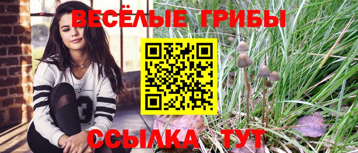 Галлюциногенные грибы Cubensis Мирный
