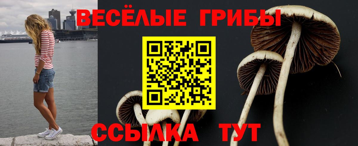 купить закладку  Галлюциногенные грибы MAGIC MUSHROOMS  Мирный  Вход с VPN  Галлюциногенные грибы мухоморы 